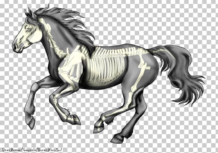 Stallion Canter And Gallop Mustang Pony Colt PNG, Clipart, Black And White, Bridle, Bucking, Canter And Gallop, Colt Free PNG Download