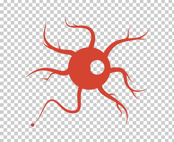 Nerve Injury Neuron Nervous System PNG, Clipart, Anatomy, Artwork, Cell, Circle, Darpa Free PNG Download