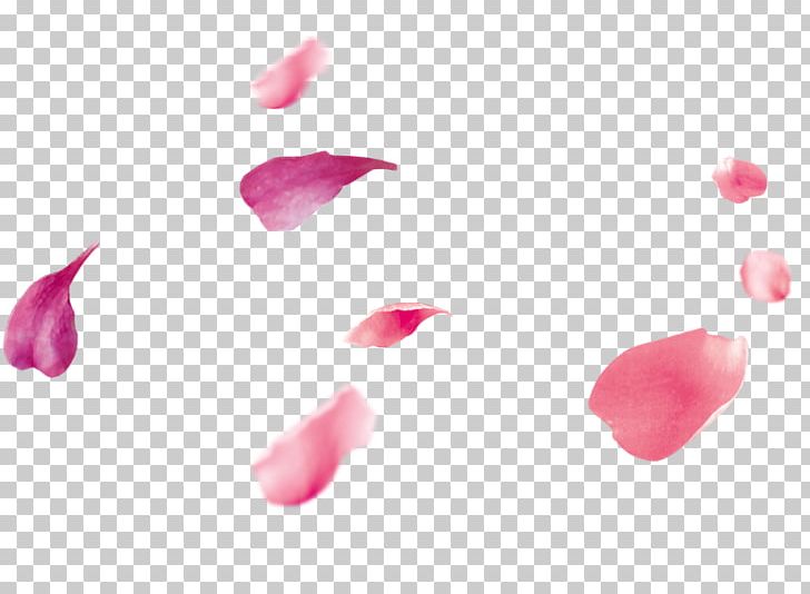 Petal Pink PNG, Clipart, Art, Beautiful, Color, Designer, Floating Free PNG Download