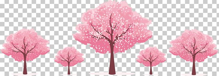 Cherry Blossom Template Microsoft PowerPoint PNG, Clipart, Blossom, Cherry, Cherry Blossom, Cherry Blossoms, Cherry Vector Free PNG Download