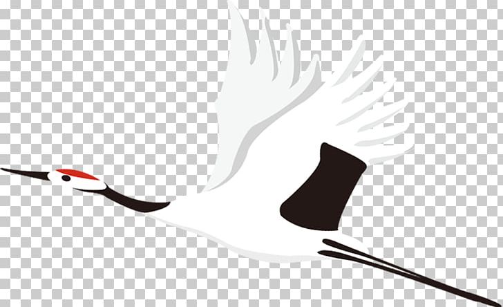 Common Crane Bird Vecteur PNG, Clipart, Background White, Black, Black White, Computer Wallpaper, Crane Free PNG Download