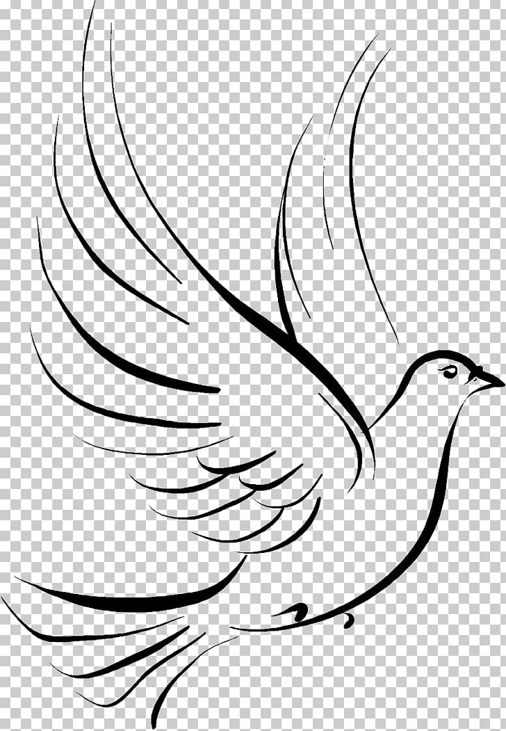 Columbidae Doves As Symbols Drawing PNG, Clipart, Animals, Artwork, Bird, Black And White, Branch Free PNG Download