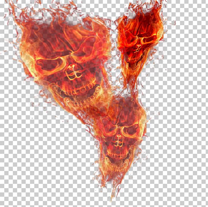 Light Fire Skull Flame PNG, Clipart, Art, Blood, Combustion, Computer Wallpaper, Desktop Wallpaper Free PNG Download