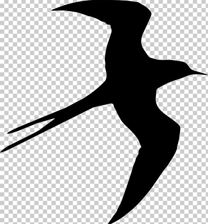 Bird Swallow Silhouette PNG, Clipart, Animals, Artwork, Barn Swallow, Beak, Bird Free PNG Download