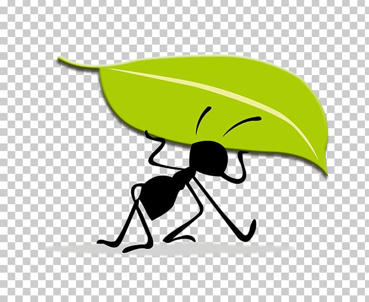 Logo Idea Ant PNG, Clipart, Ants, Artistic Inspiration, Banana Leaves, Brand, Business Free PNG Download