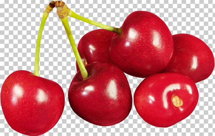 Cherry Fruit PNG, Clipart, Accessory Fruit, Acerola, Acerola Family, Animals, Animation Free PNG Download