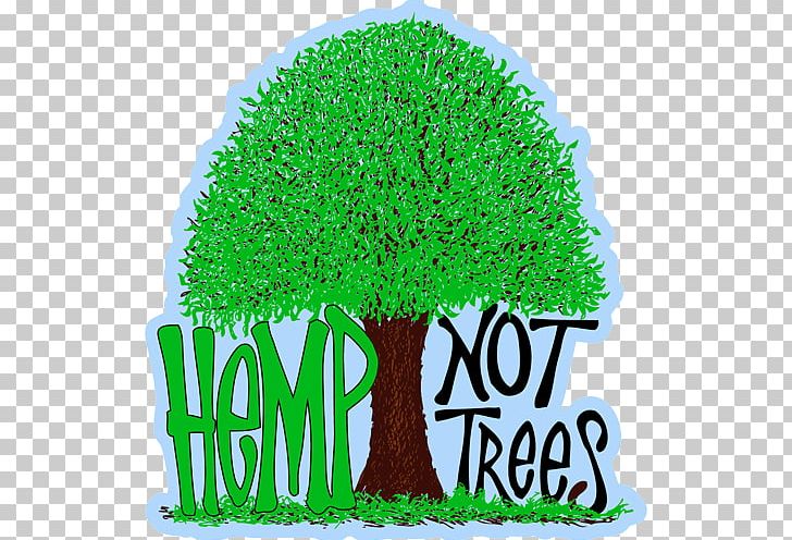 Paper Hemp Cannabis Legalization Pulp PNG, Clipart, Biomass, Cannabis, Child Stock Photography, Grass, Green Free PNG Download