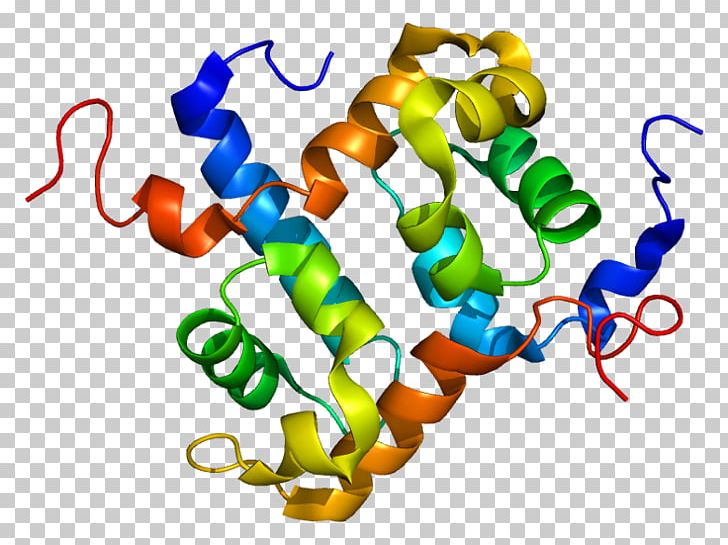 ERCC4 ERCC1 Nucleotide Excision Repair Protein Endonuclease PNG, Clipart, Base Excision Repair, Dna Damage, Dna Repair, Endonuclease, Ercc1 Free PNG Download