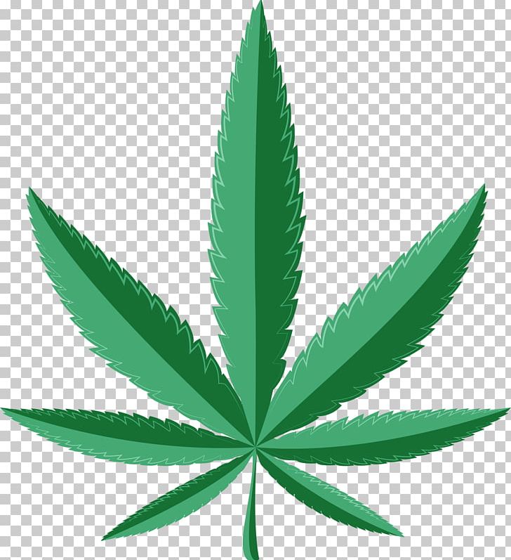 Medical Cannabis Dispensary Cannabis Shop Medicine PNG, Clipart, Border, California, Canadian, Cannabis, Cannabis Shop Free PNG Download