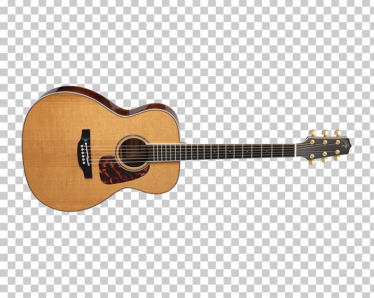 Acoustic-electric Guitar Steel-string Acoustic Guitar Takamine Guitars Dreadnought PNG, Clipart, Acoustic Electric Guitar, Classical Guitar, Cutaway, Guitar, Guitar Accessory Free PNG Download