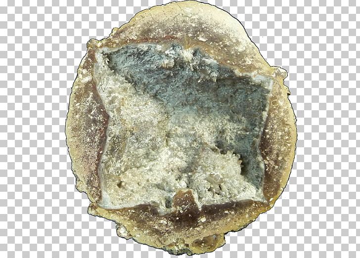 Mineral Thunderegg Artifact Sales Crystal PNG, Clipart, Artifact, Crystal, Mineral, Rock, Sales Free PNG Download