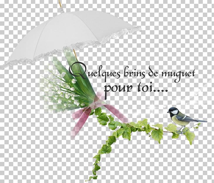 Twig Bird Leaf Font PNG, Clipart, Animals, Bird, Branch, Flora, Flower Free PNG Download