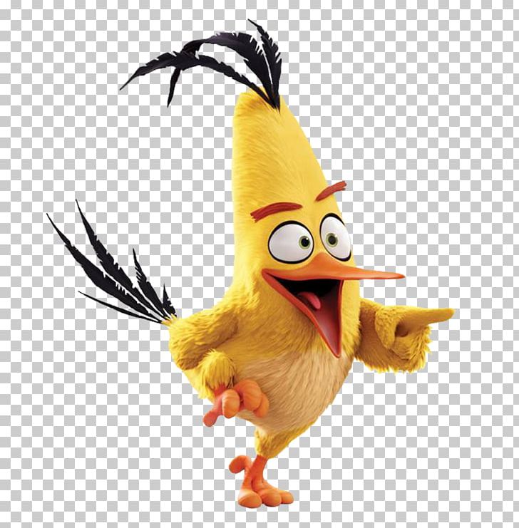 Bird Film Cinema YouTube PNG, Clipart, Angry Birds, Angry Birds Movie, Animation, Beak, Bird Free PNG Download