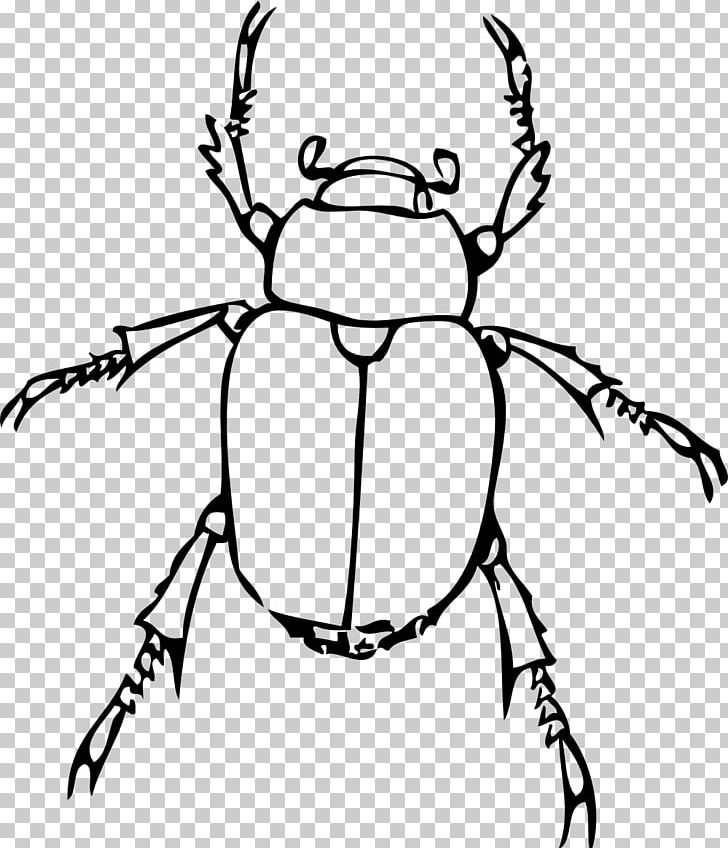 Insect Bug Drawing Book PNG, Clipart, Adult, Animals, Art, Artwork, Black And White Free PNG Download
