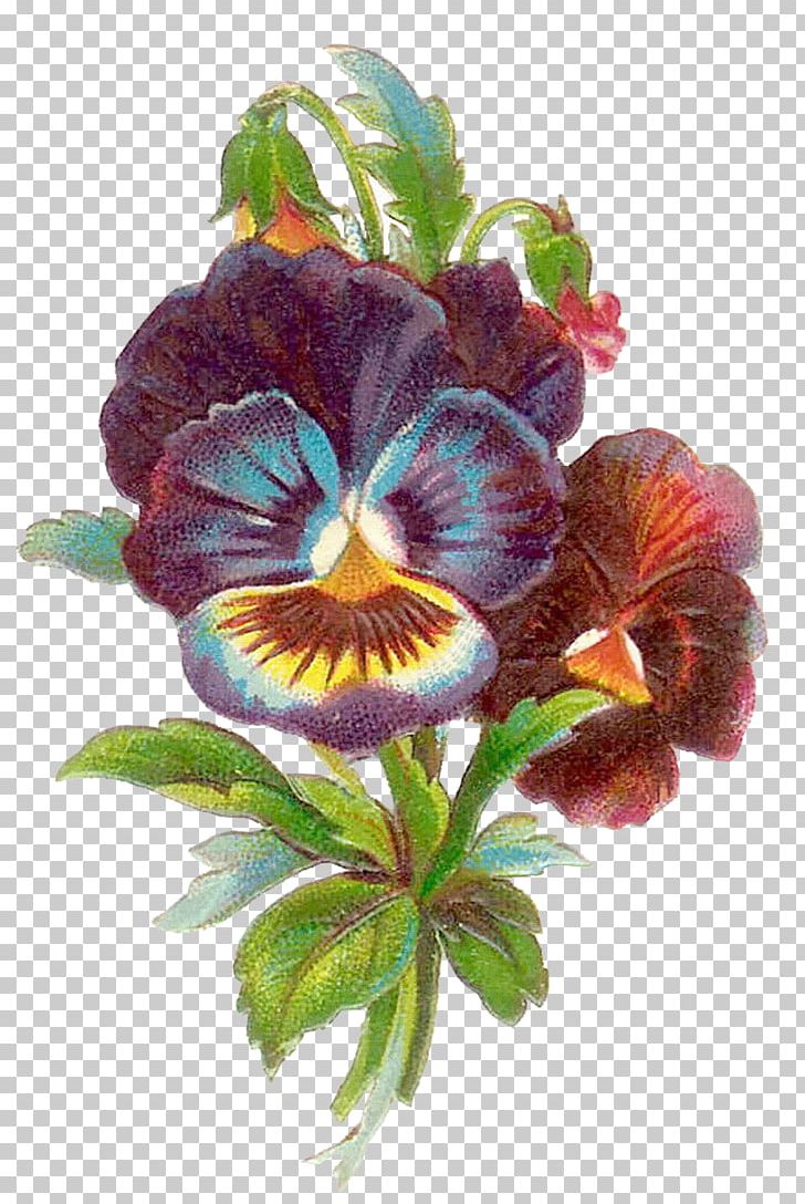 Pansy Antique Flower PNG, Clipart, Antique, Clip Art, Cut Flowers, Desktop Wallpaper, Flower Free PNG Download