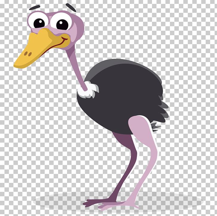 Common Ostrich Free Content PNG, Clipart, Beak, Bird, Blog, Cartoon, Common Ostrich Free PNG Download