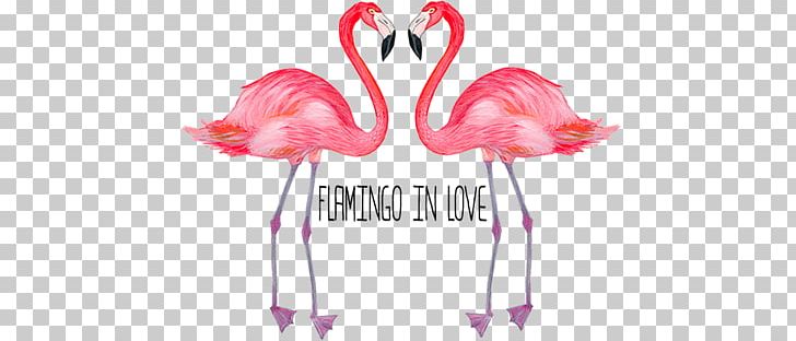 Flamingos Desktop Photography PNG, Clipart, Advertising, Computer, Computer Wallpaper, Cosa, Desktop Wallpaper Free PNG Download