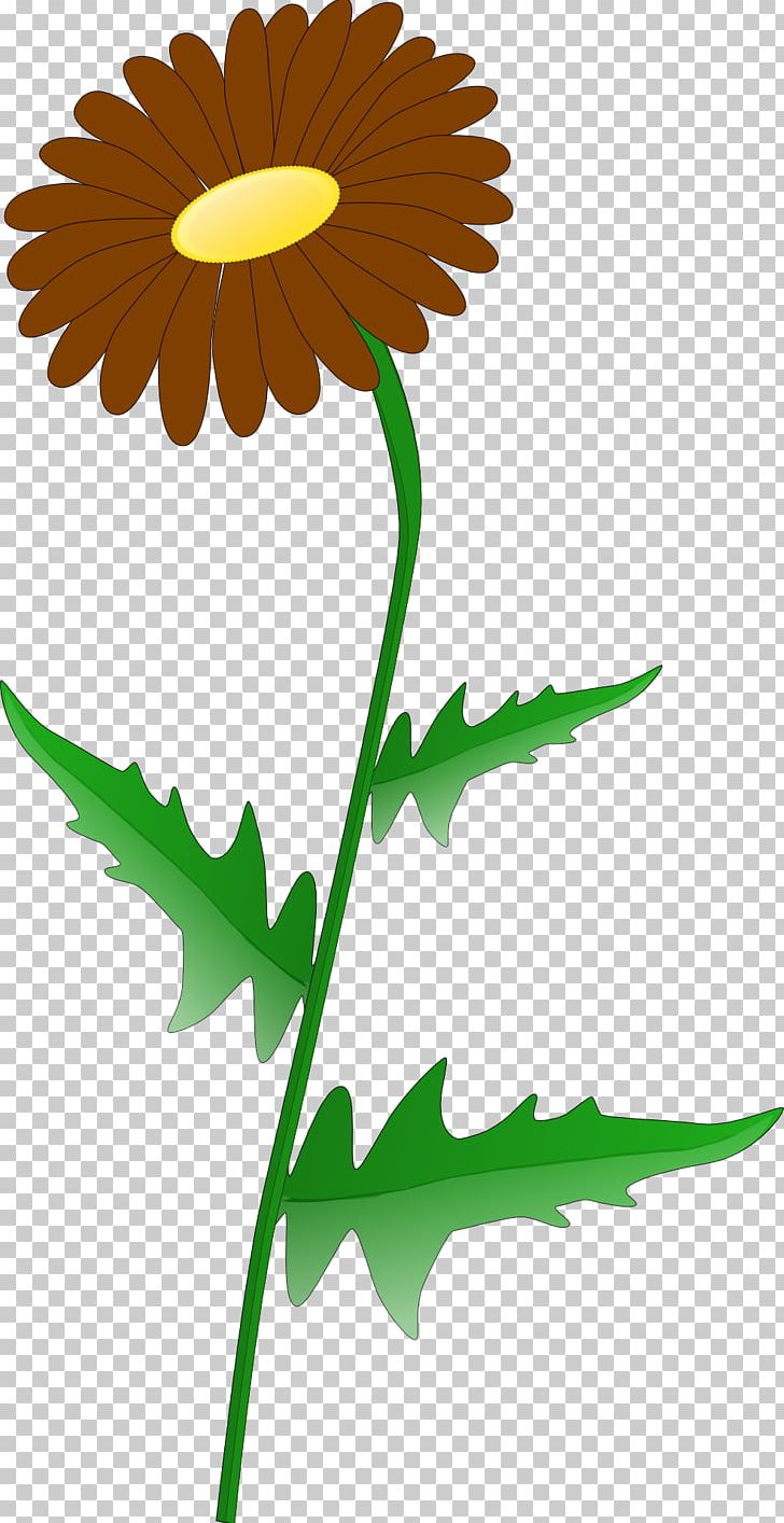 Leaf Sunflower Others PNG, Clipart, Artwork, Chamomile, Common Daisy, Cut Flowers, Daisy Free PNG Download