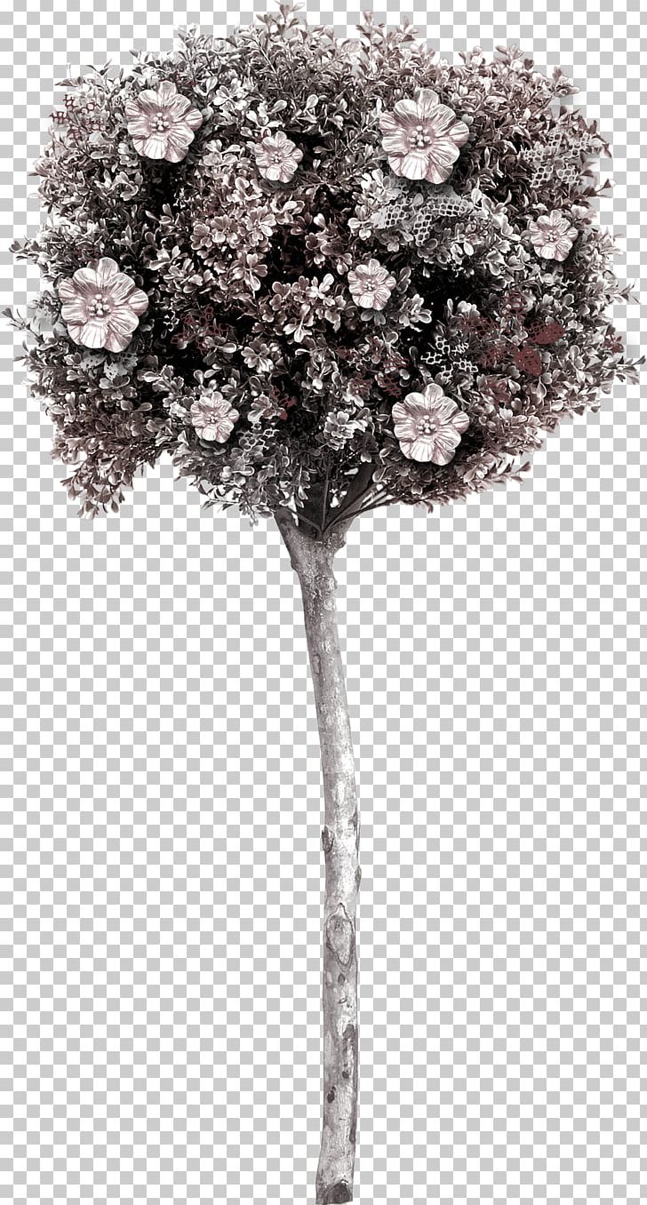 Tree PNG, Clipart, Amp, Arts, Baby Clothes, Black And White, Blossom Free PNG Download