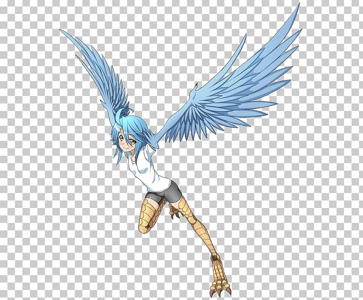 MONMUSU Harpy Monster Musume Anime Fan Art PNG, Clipart, Angel, Anime, Art, Beak, Bird Free PNG Download