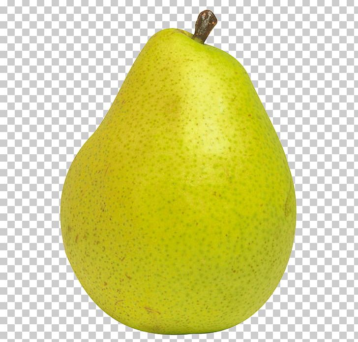 Pear Fruit PNG, Clipart, Apple, Asian Pear, Citron, Citrus, Clip Art Free PNG Download