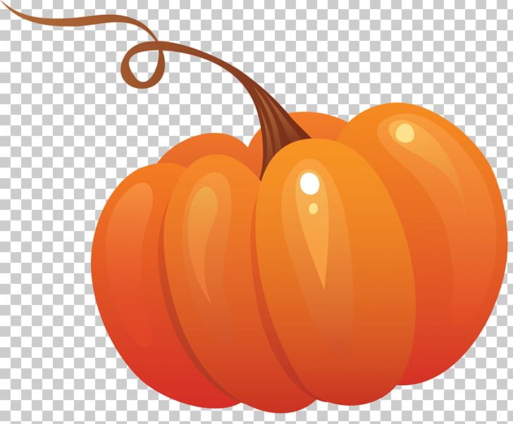 Pumpkin Cucurbita Pepo PNG, Clipart, Bitter Melon, Calabaza, Computer Icons, Cucurbita, Cucurbita Pepo Free PNG Download