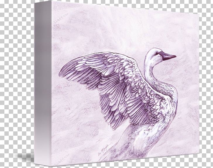 Duck Kind Poster Art Goose PNG, Clipart, Animals, Art, Beak, Bird, Canvas Free PNG Download
