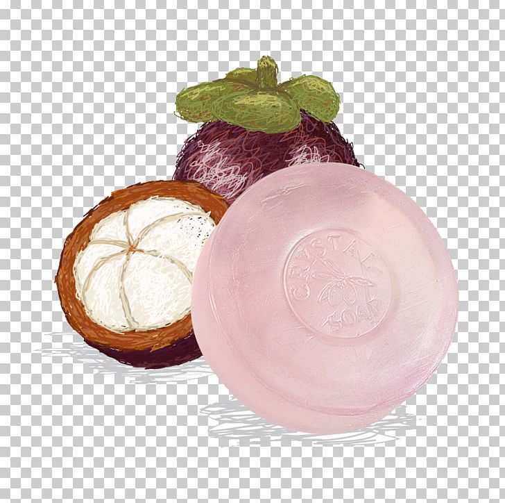 Purple Mangosteen Fruit Stock Illustration Illustration PNG, Clipart, Bubble Soap, Bubles Soap, Euclidean Vector, Fruit, Hand Soap Free PNG Download