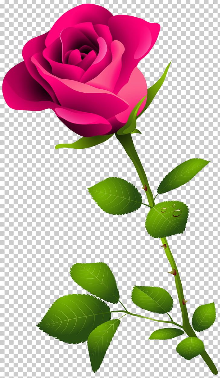 Rose Desktop PNG, Clipart, Blue Rose, Branch, Brightness, Bud, Cut Flowers Free PNG Download