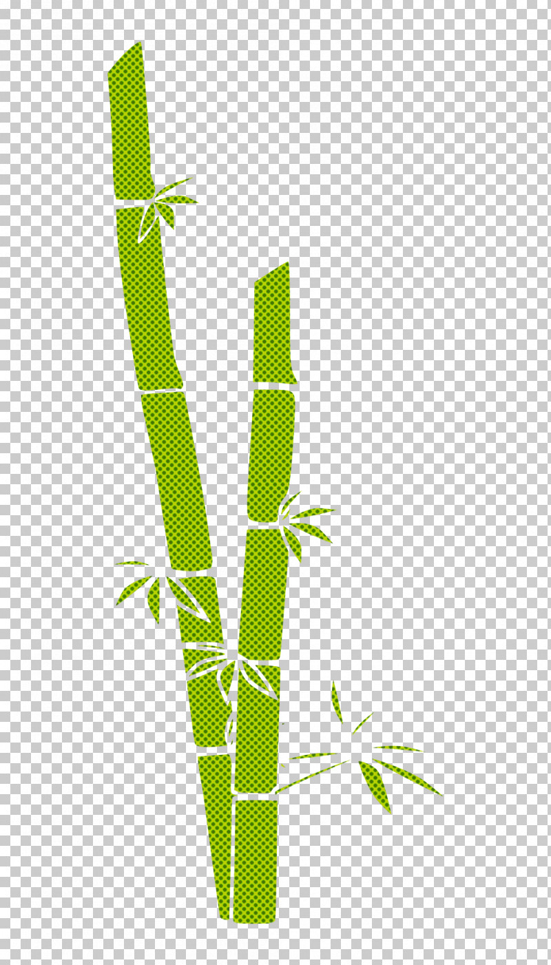 Leaf Plant Stem Plant Grass Family Line PNG, Clipart, Bamboo, Flower, Grass Family, Leaf, Line Free PNG Download