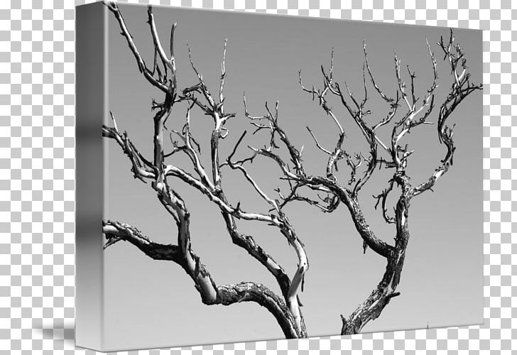 Black And White Abstract Art Tree PNG, Clipart, Abstract Art, Art, Black And White, Branch, Canvas Free PNG Download