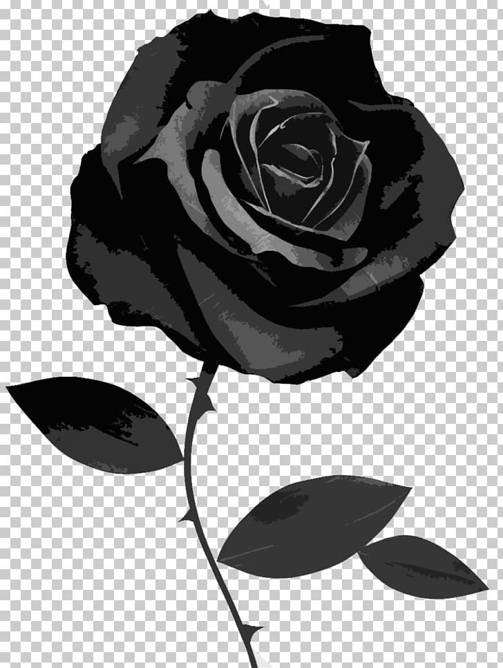 Black Rose Desktop PNG, Clipart, Black, Black And White, Black Baccara, Black Rose, Computer Icons Free PNG Download