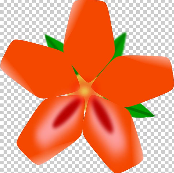 Hawaii Drawing Flower PNG, Clipart, Animation, Battle Droids Cliparts, Cartoon, Computer Icons, Drawing Free PNG Download