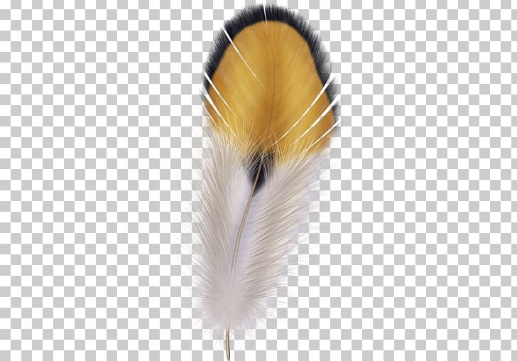 The Floating Feather Quill Pen PNG, Clipart, Animals, Drawing, Encapsulated Postscript, Feather, Feather Png Free PNG Download