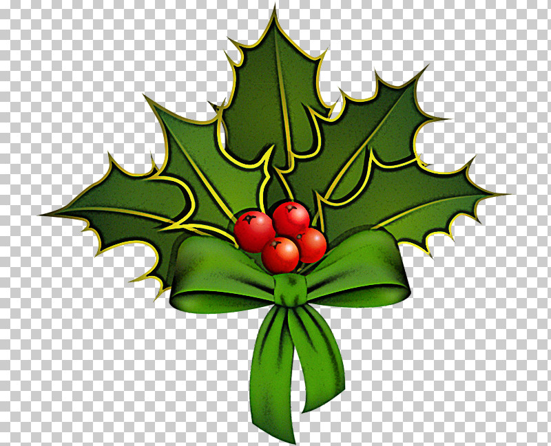 Holly PNG, Clipart, American Holly, Flower, Holly, Hollyleaf Cherry, Leaf Free PNG Download