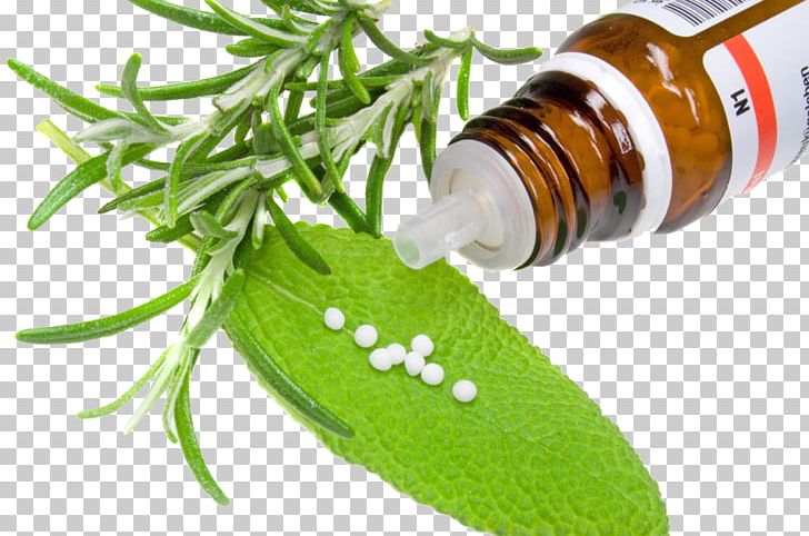 Alternative Health Services Medicine Herb Pharmaceutical Drug PNG, Clipart, Alternative Health Services, Alternative Medicine, Aromatic Herbs, Blue Pill, Bottle Free PNG Download