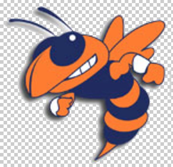 Bartow High School National Secondary School Kathleen High School Vespula PNG, Clipart, Art, Artwork, Bartow, Bartow High School, Cartoon Free PNG Download