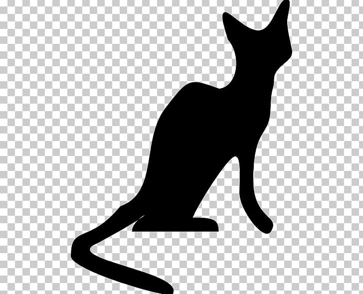 Cat Whiskers Shadow PNG, Clipart, Artwork, Black, Black And White, Black Cat, Carnivoran Free PNG Download