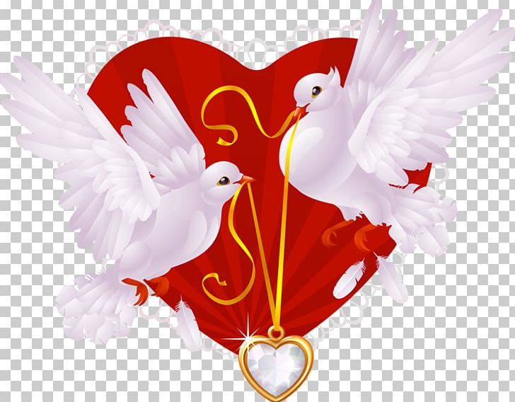Columbidae Wedding Invitation Illustration PNG, Clipart, Animals, Bird, Bird Cage, Birds, Bridegroom Free PNG Download