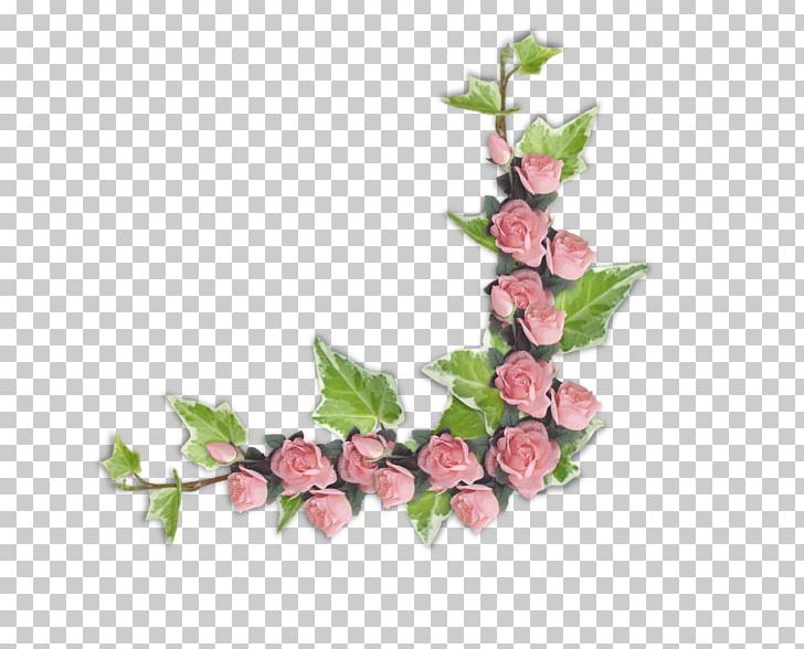 Cut Flowers Botany Botanical Illustration PNG, Clipart, Artificial Flower, Blume, Botanical Illustration, Botany, Branch Free PNG Download