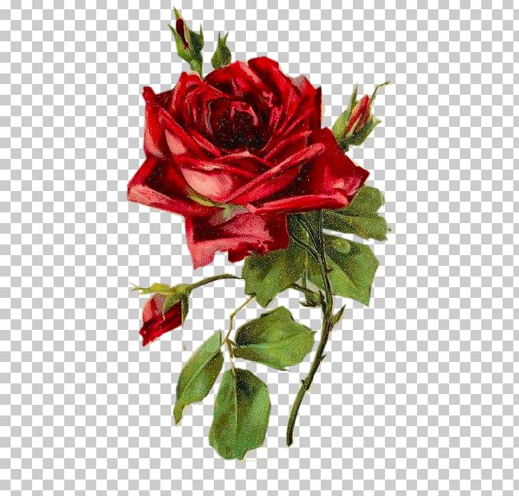 Rose Decoupage Painting PNG, Clipart, Artificial Flower, Art Museum, Blue, China Rose, Collage Free PNG Download