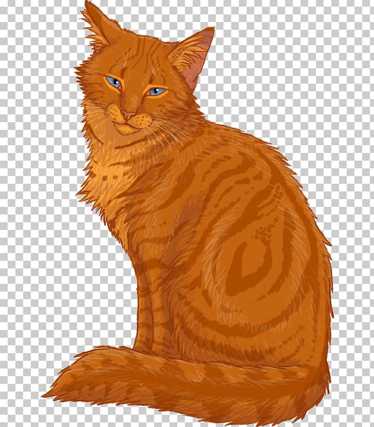 Whiskers Maine Coon Tabby Cat Domestic Short-haired Cat PNG, Clipart, Carnivoran, Cat, Cat Like Mammal, Domestic Short Haired Cat, Domestic Shorthaired Cat Free PNG Download