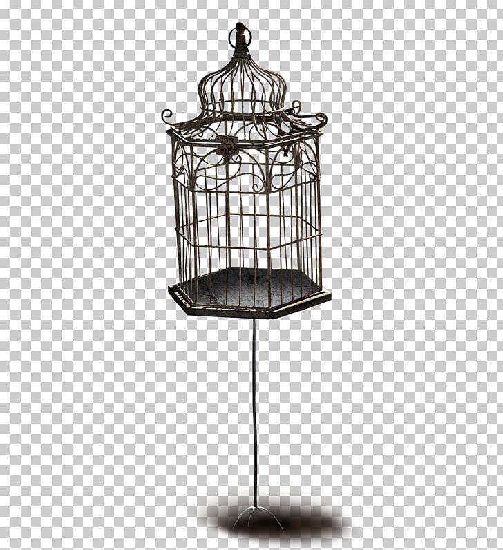 Birdcage PNG, Clipart, Animals, Bird, Birdcage, Cage, Cover Art Free PNG Download