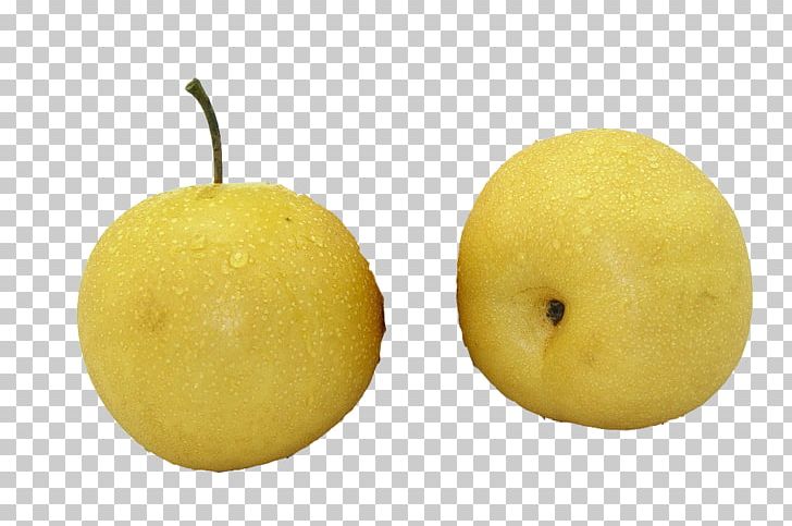 Sweet Lemon Citron Citrus Junos Asian Pear PNG, Clipart, Apple, Asian Pear, Citron, Citrus, Citrus Junos Free PNG Download