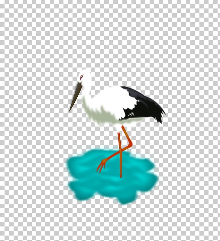 White Stork Computer Icons Portable Network Graphics Bird PNG, Clipart, Animals, Beak, Bird, Ciconiiformes, Computer Icons Free PNG Download