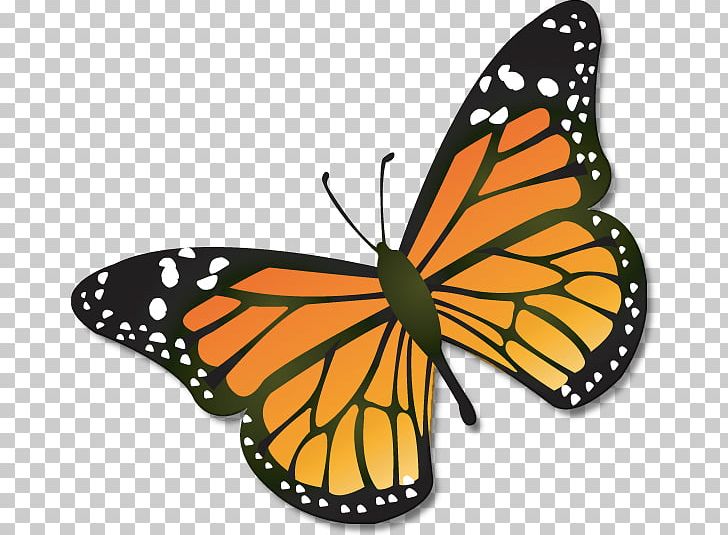Monarch Butterfly Insect PNG, Clipart, Animal, Animal Migration, Arthropod, Brush Footed Butterfly, Butterfly Free PNG Download