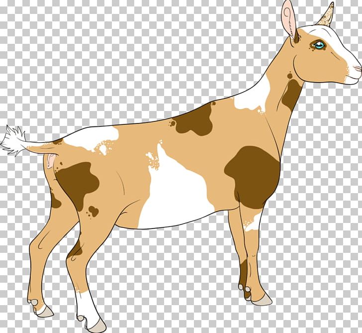 Nigerian Dwarf Goat Hereford Cattle Beef Cattle Charolais Cattle Livestock PNG, Clipart, Animal, Antelope, Caprinae, Cartoon, Cattle Free PNG Download