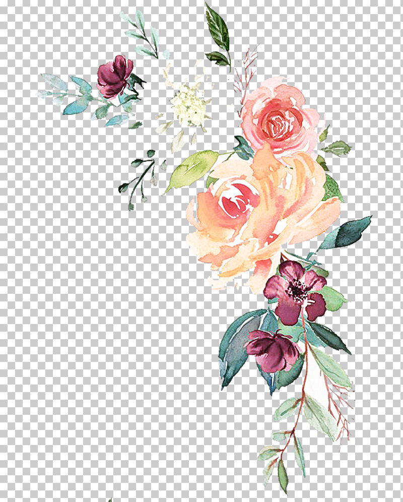 Garden Roses PNG, Clipart, Bouquet, Common Peony, Cut Flowers, Floral Design, Floristry Free PNG Download