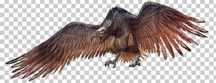 ARK: Survival Evolved Bird Dimorphodon Argentavis Magnificens Spinosaurus PNG, Clipart, Animal, Animals, Argentavis Magnificens, Ark Survival Evolved, Beak Free PNG Download