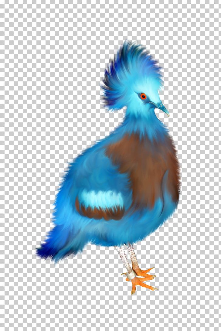 Bird Blue PNG, Clipart, Beak, Blue, Bluebird, Blue Phoenix, Cobalt Blue Free PNG Download